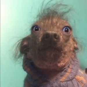 Meet your Posher, Blaire